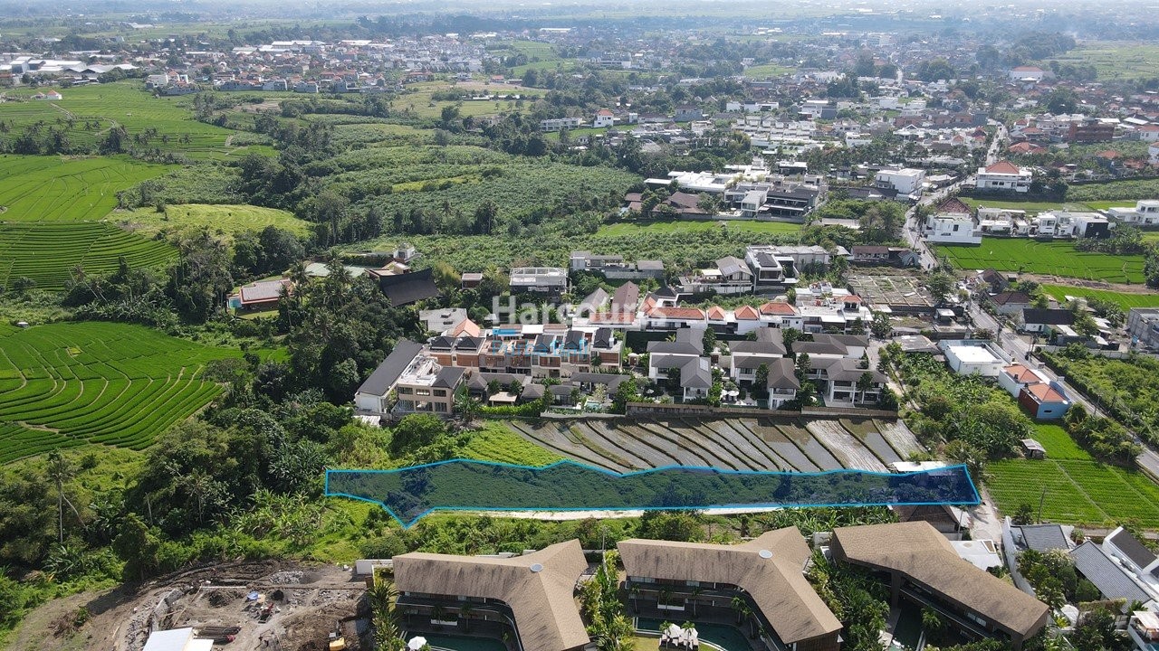 Land May Leased Whole Freehold Ownership