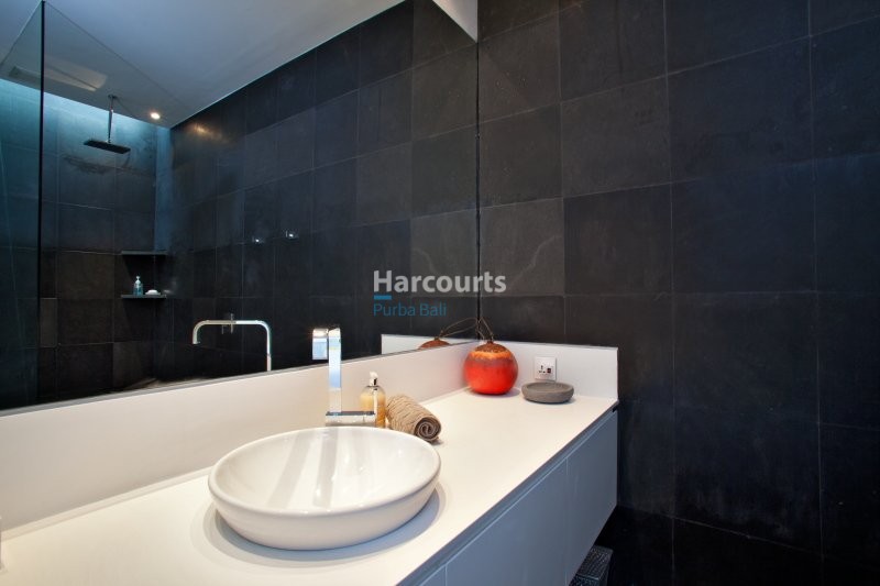 Set Within One Balis Tropical Modern