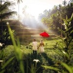 Bali Rice Fields Sunset