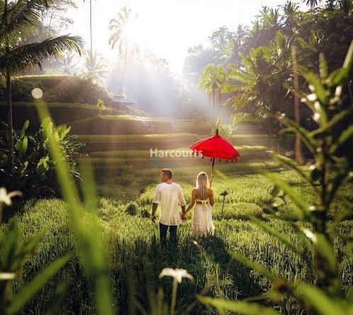 Bali Rice Fields Sunset