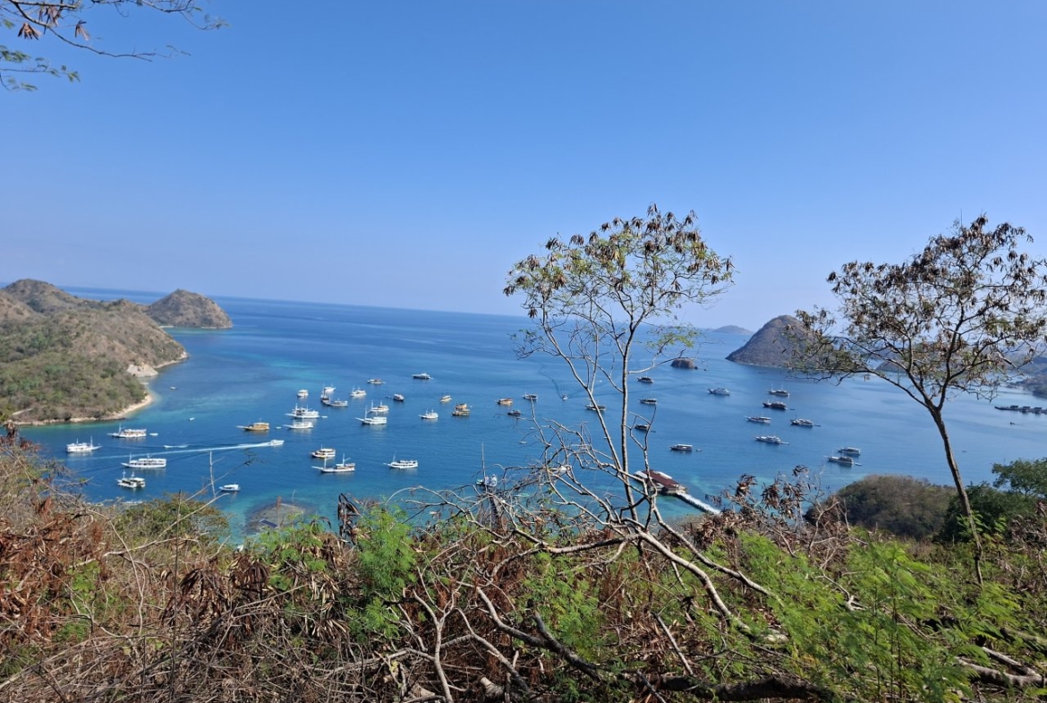 Location Labuan Bajo Flores For Sale